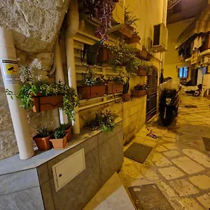 Fico D'india , Bari Italia